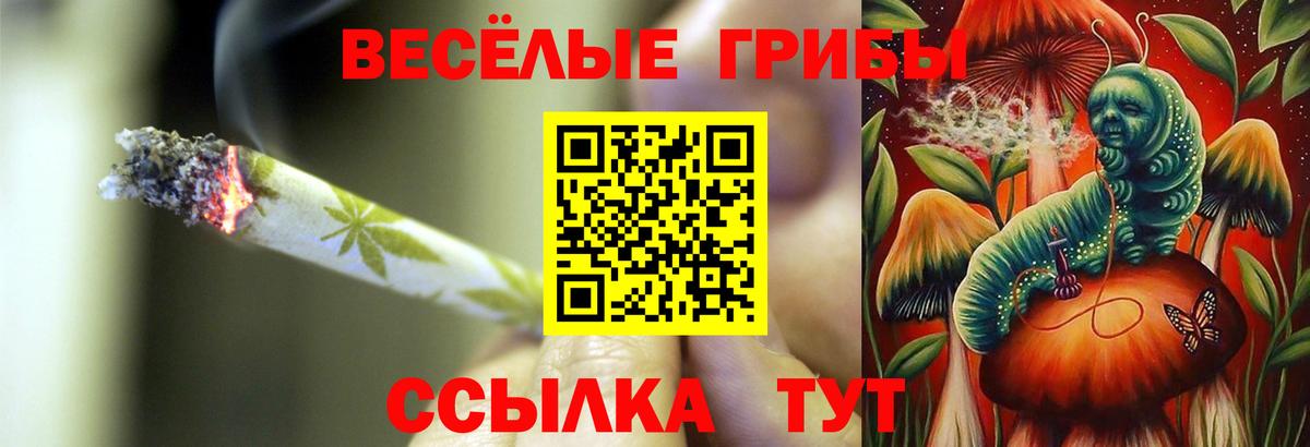 Галлюциногенные грибы Psilocybine cubensis  Вход с VPN  Златоуст 