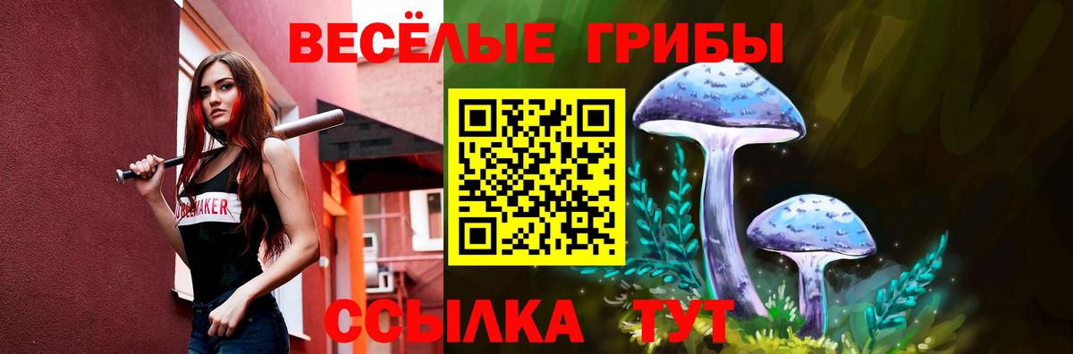 Псилоцибиновые грибы прущие грибы Златоуст
